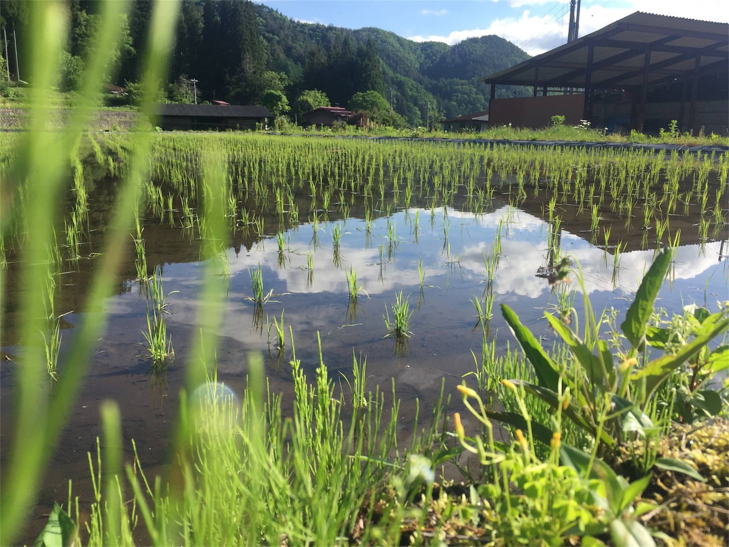 f:id:amago1022:20170528112549j:image