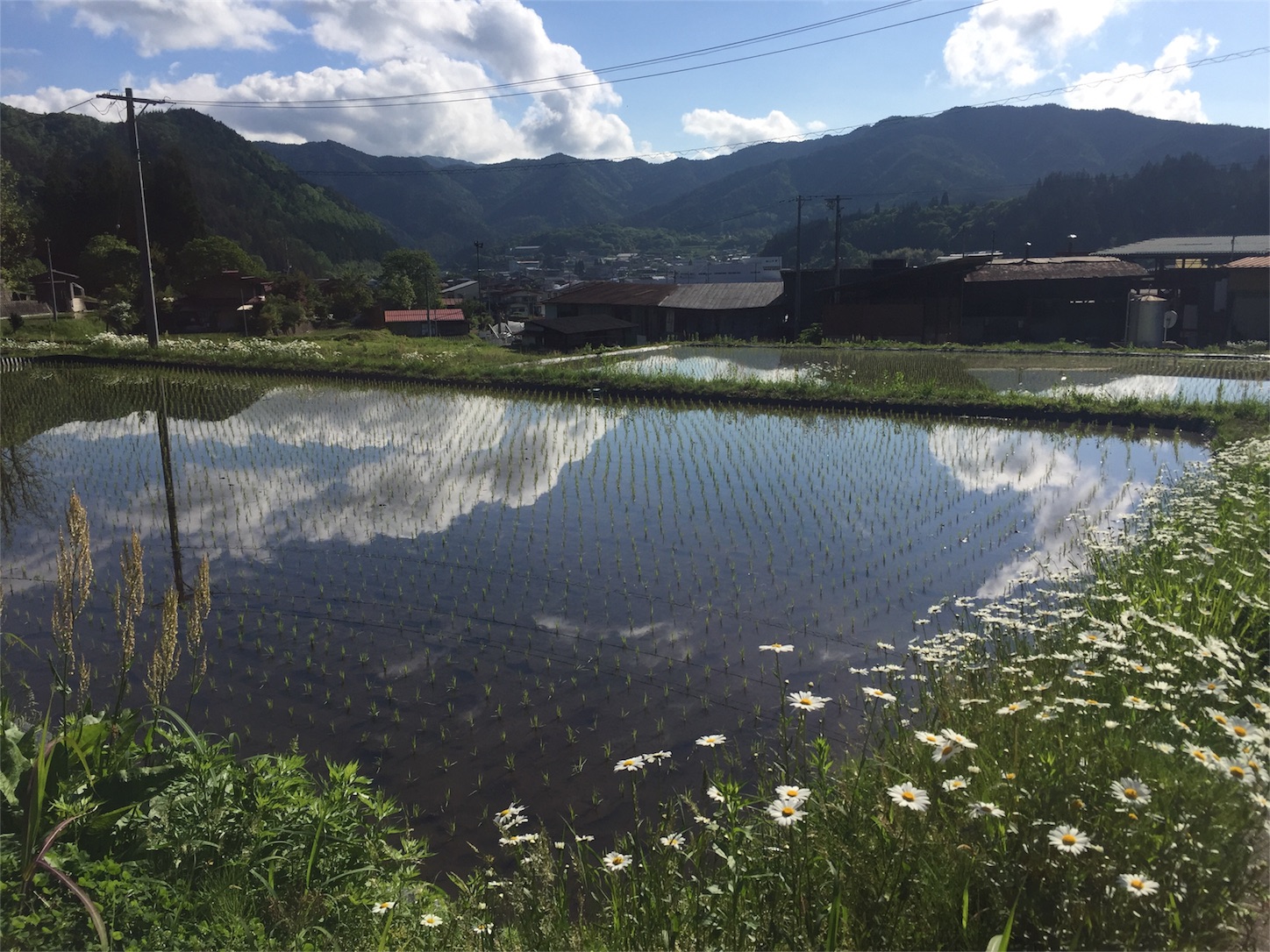 f:id:amago1022:20170528112606j:image