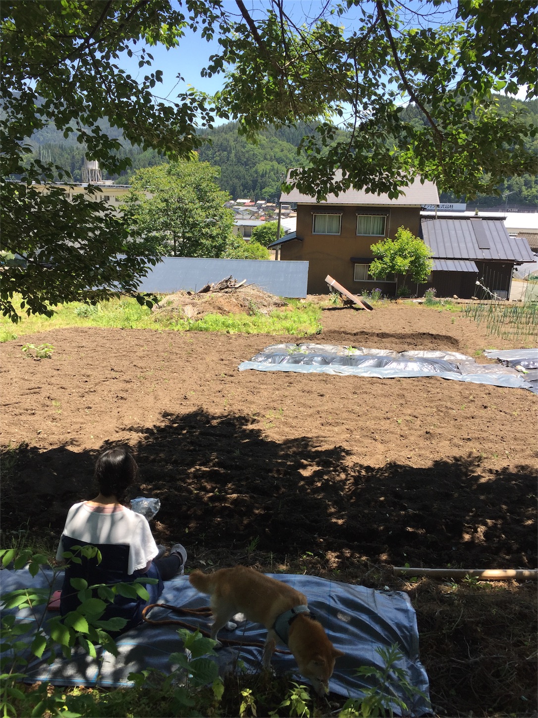 f:id:amago1022:20170611212809j:image