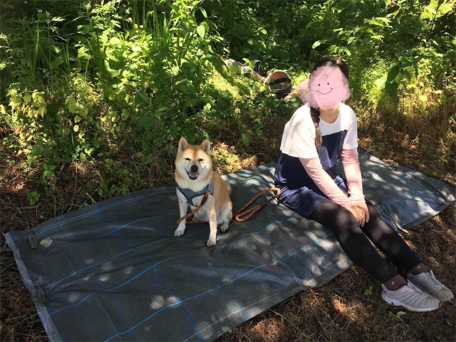 f:id:amago1022:20170611215151j:image