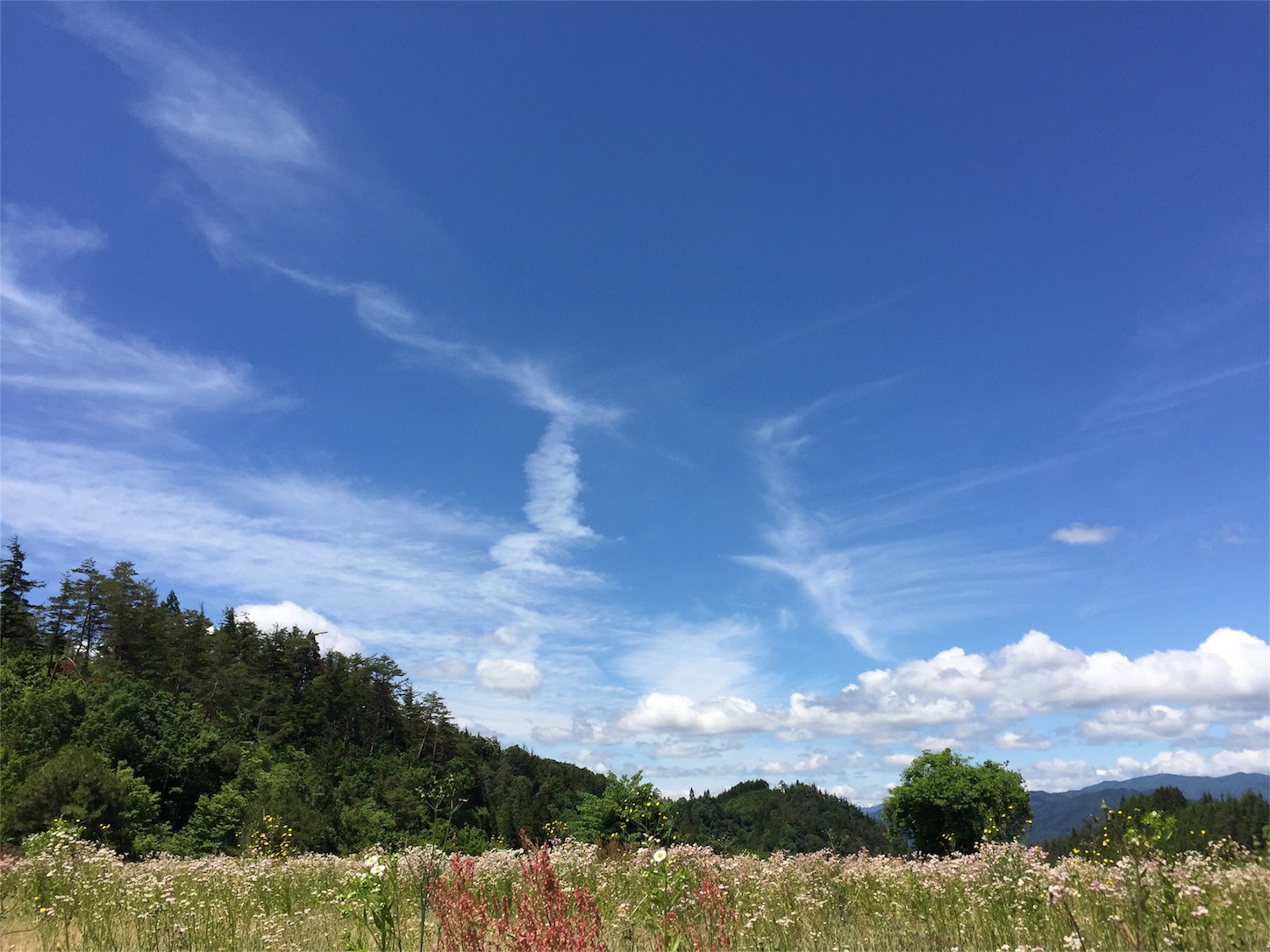 f:id:amago1022:20170613214053j:image