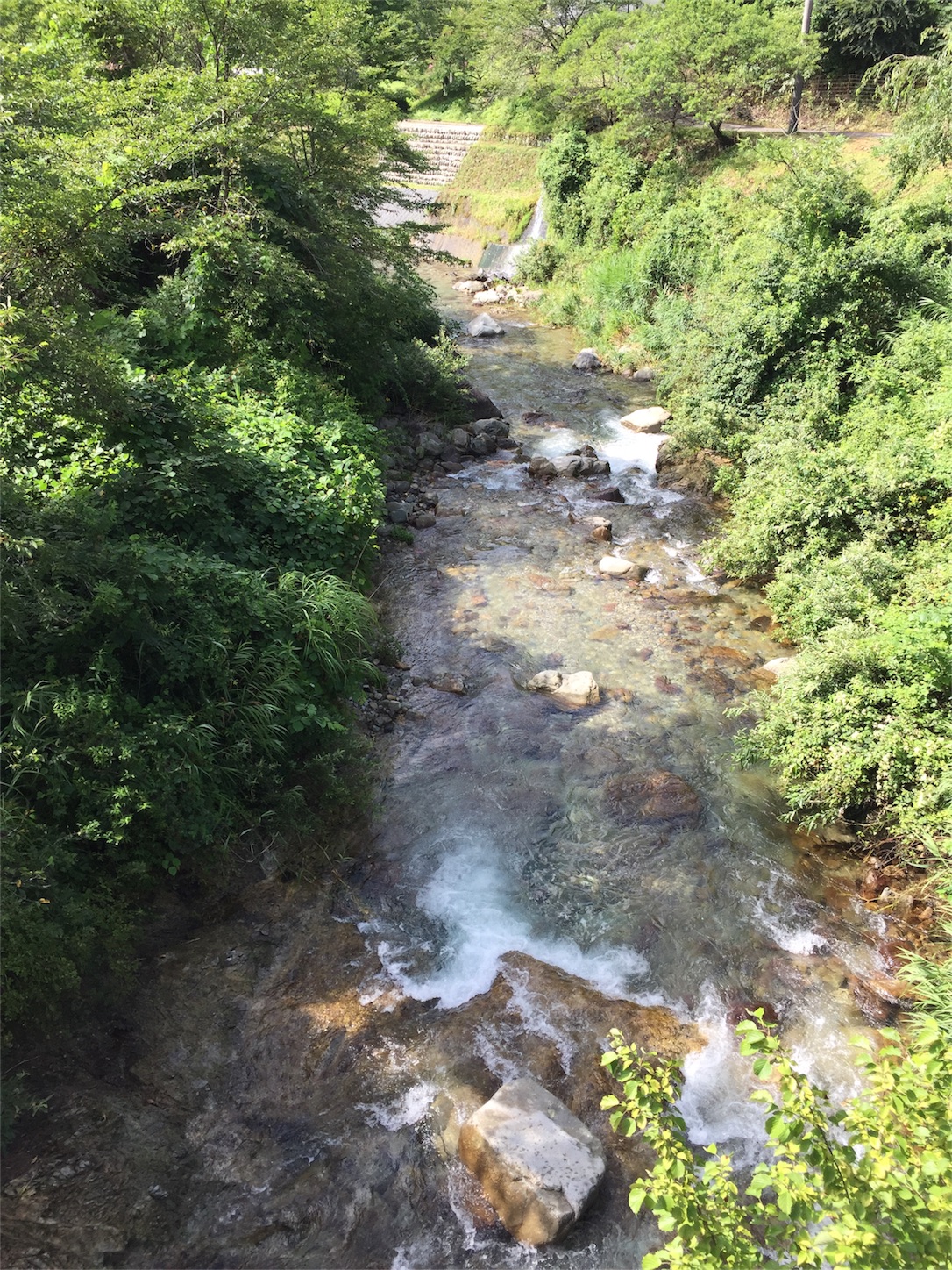 f:id:amago1022:20170820215640j:image