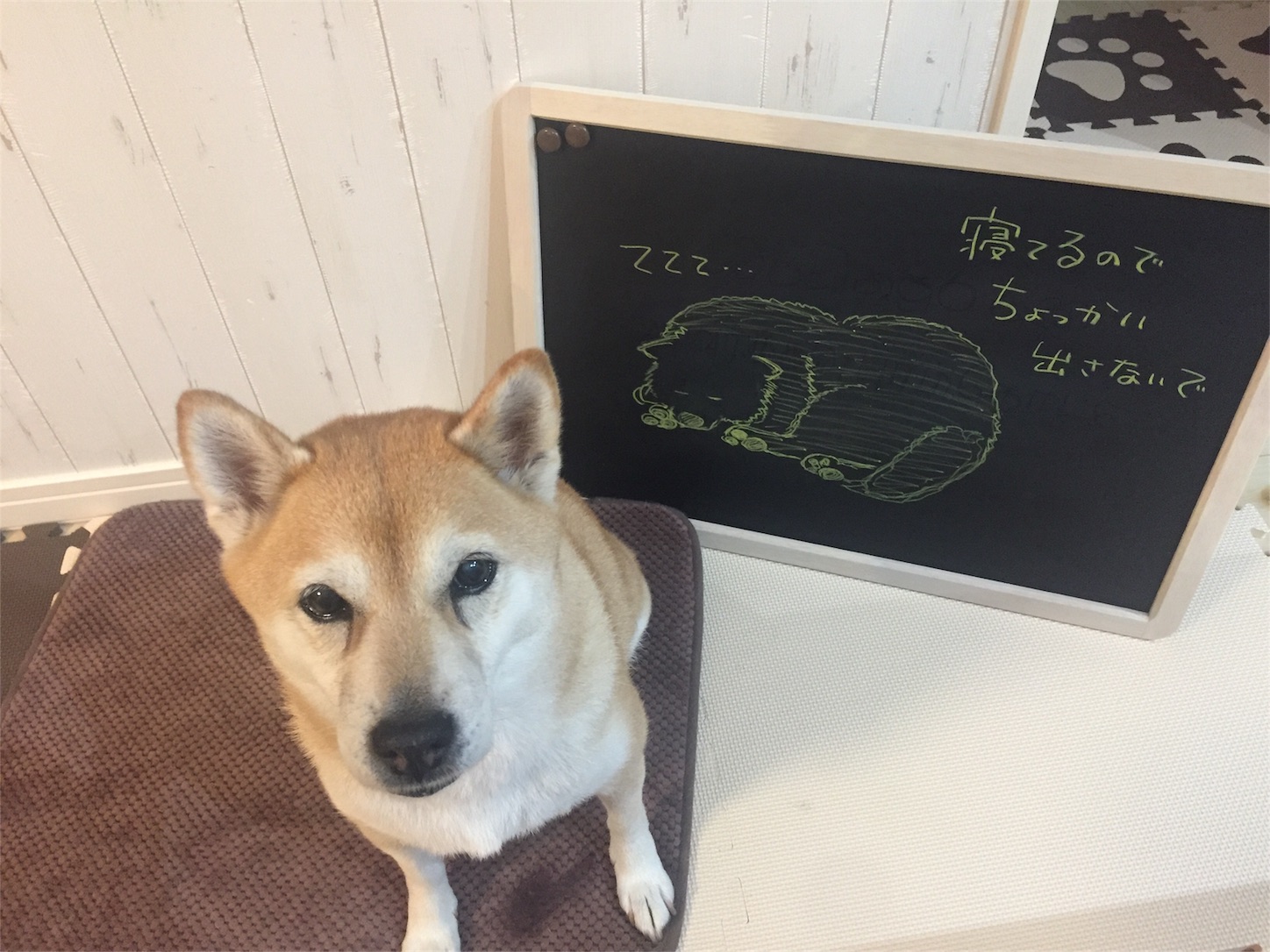 f:id:amago1022:20170915221359j:image f:id:amago1022:20170915221359j:image