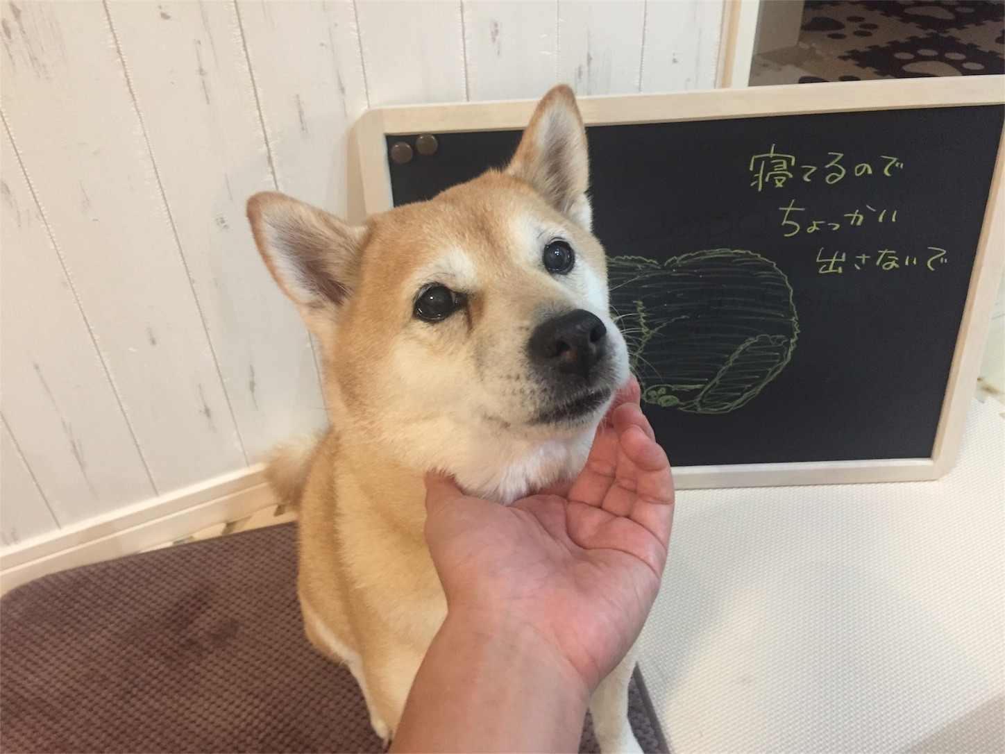 f:id:amago1022:20170915221417j:image f:id:amago1022:20170915221417j:image