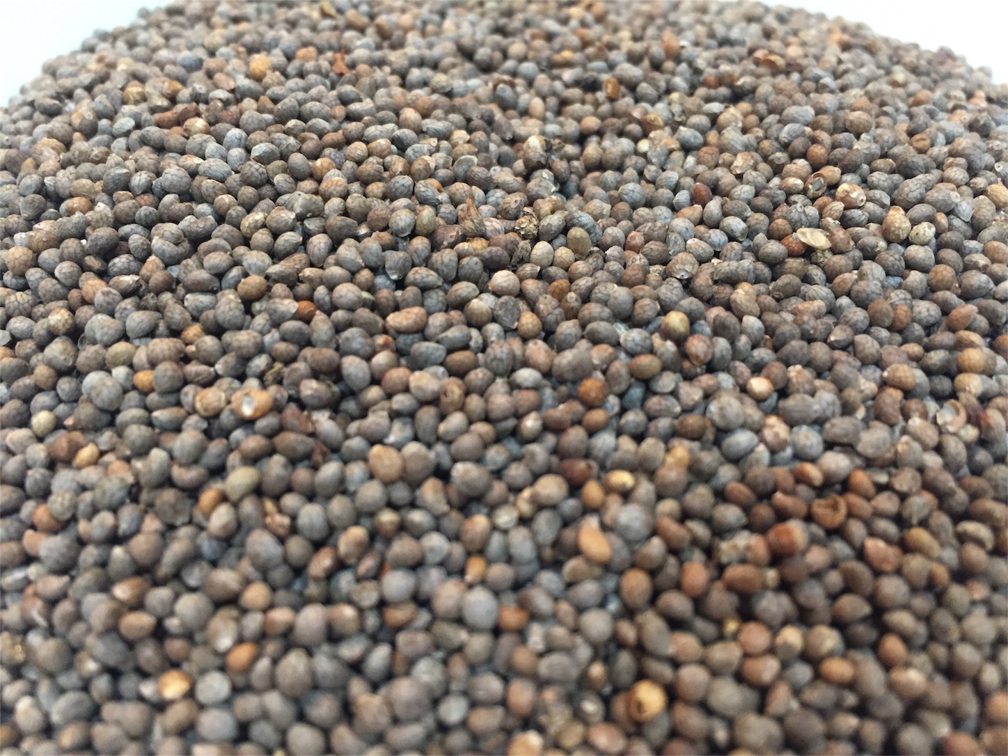 f:id:amago1022:20171020112907j:image