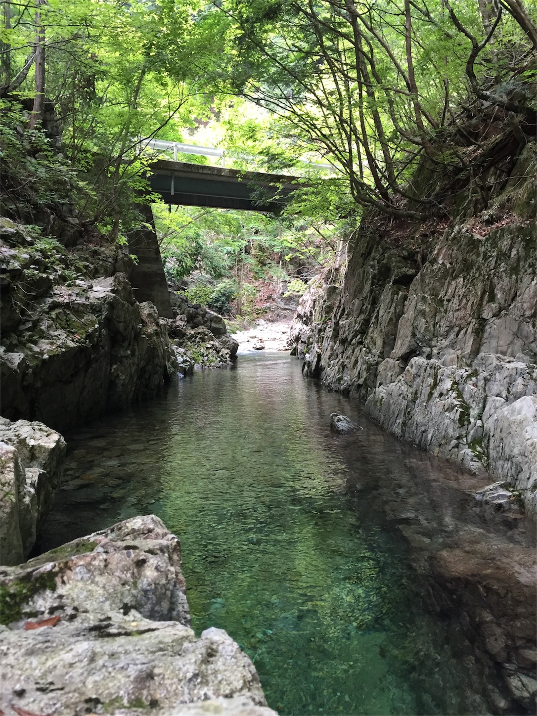 f:id:amago1022:20171227180104j:image