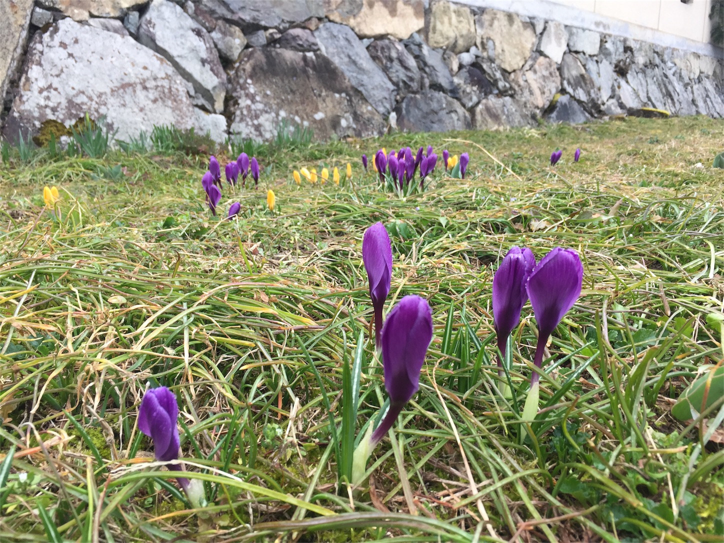 f:id:amago1022:20180326092326j:image