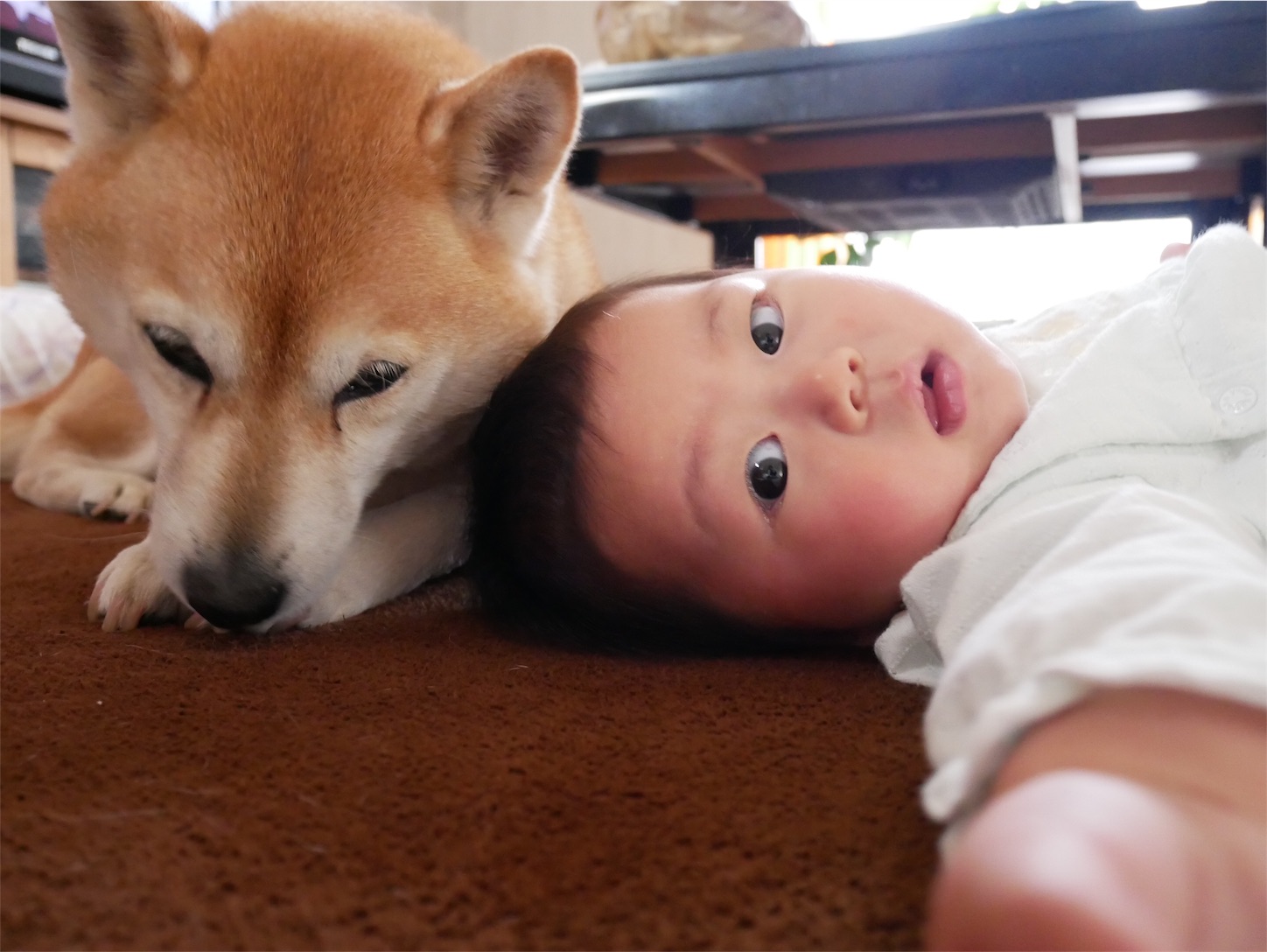f:id:amago1022:20180502204132j:image