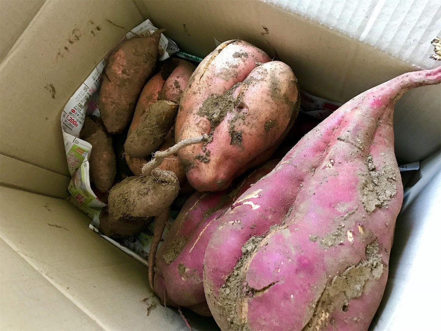 f:id:amago1022:20181023155757j:image