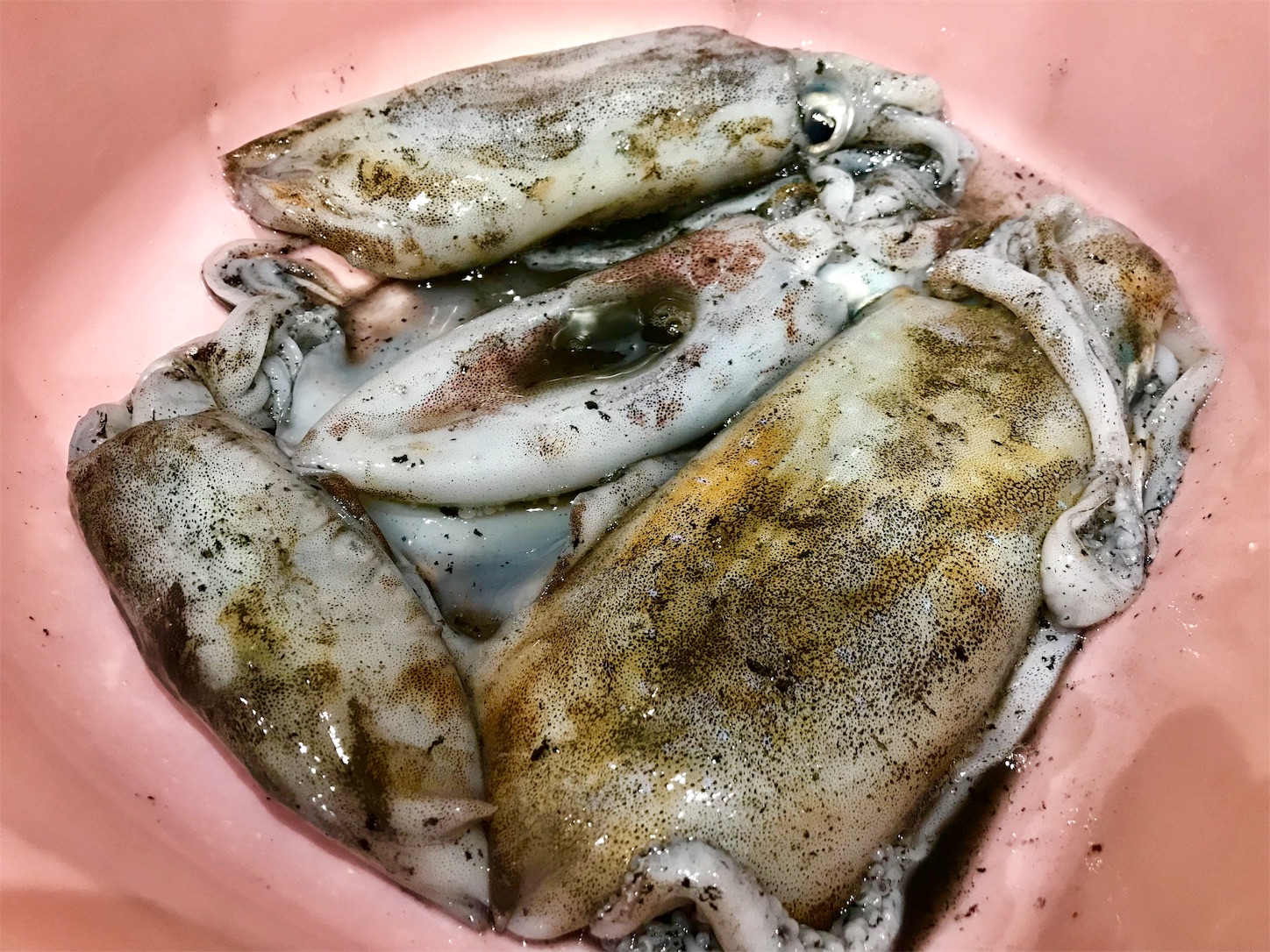 f:id:amago1022:20181023155934j:image