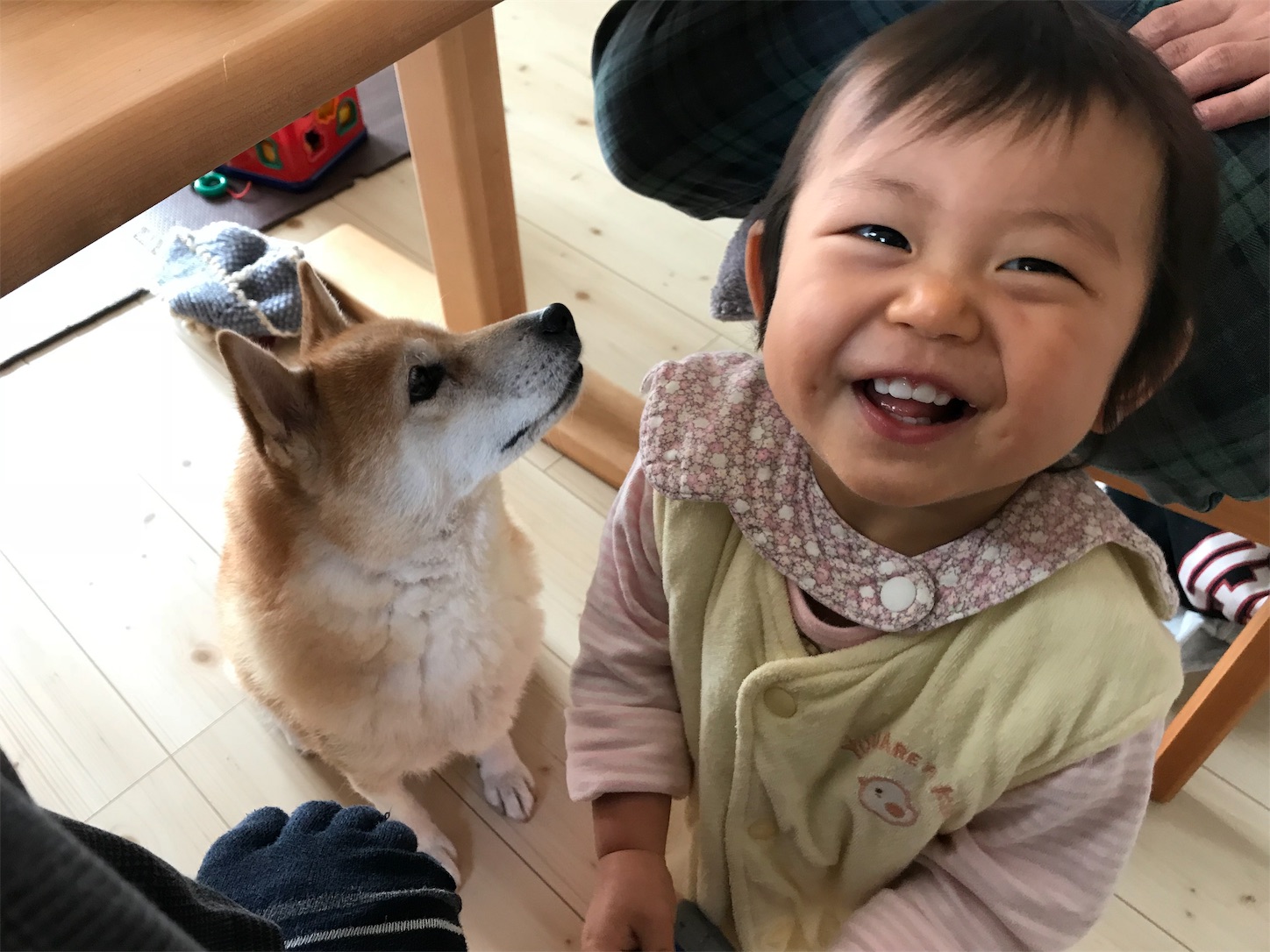 f:id:amago1022:20181023161110j:image