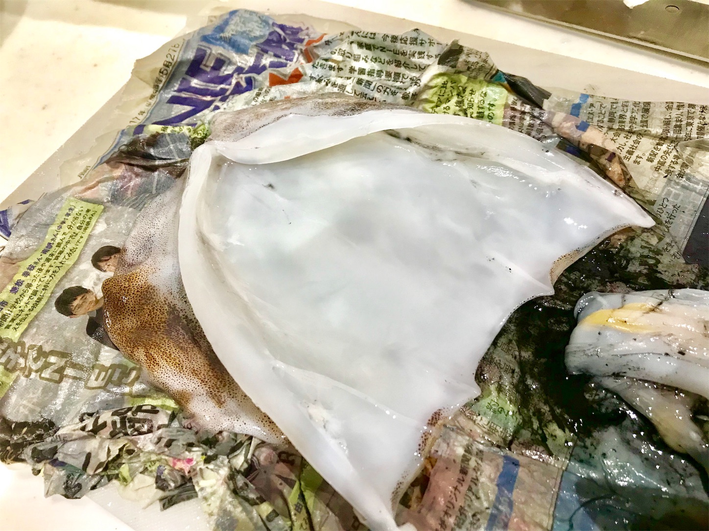 f:id:amago1022:20181023200616j:image