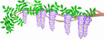 f:id:amai0310:20200314235758j:plain f:id:amai0310:20200314235758j:plain