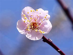 f:id:amai0310:20200322183304j:plain f:id:amai0310:20200322183304j:plain