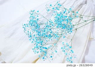 f:id:amai0310:20200323225630j:plain f:id:amai0310:20200323225630j:plain