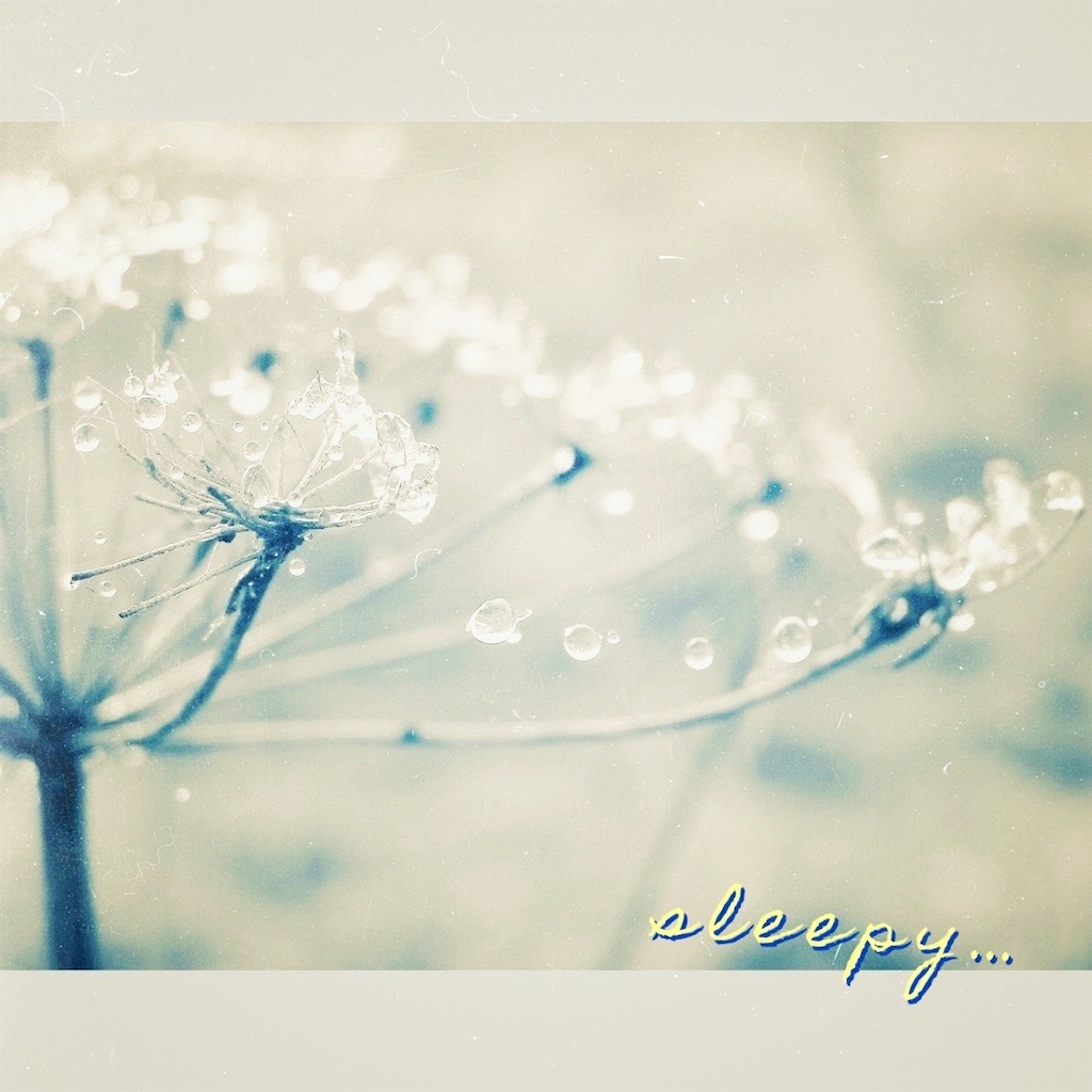f:id:amai310mizu:20210302202029j:image f:id:amai310mizu:20210302202029j:image
