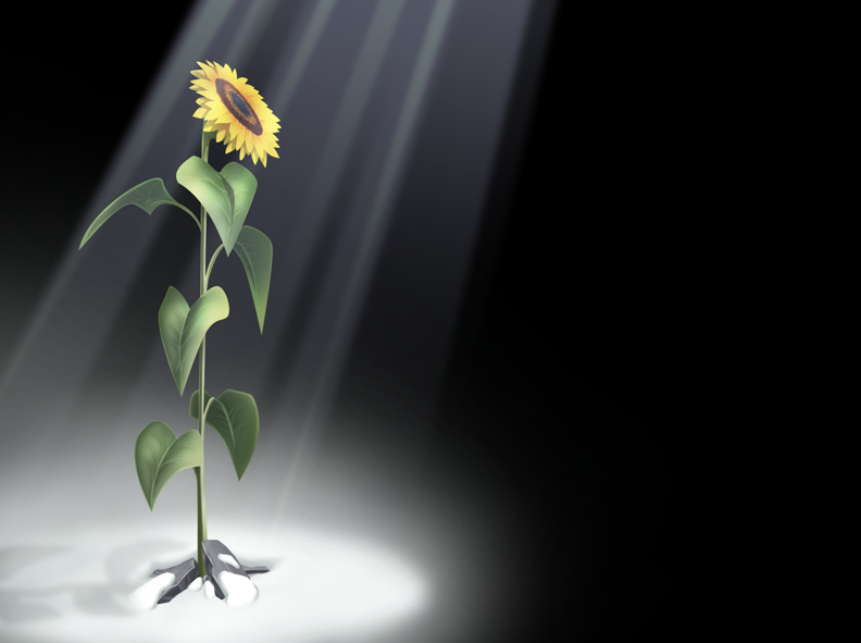 f:id:amaikahlua:20200709134756p:plain