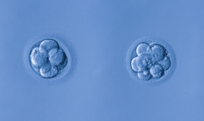 f:id:amaikahlua:20220124182818p:plain