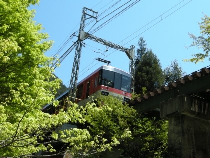 f:id:amaimikan:20100425114034j:image