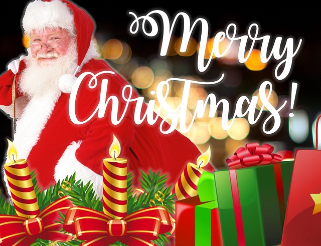 f:id:amakararon:20181225150038j:plain