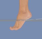 f:id:amakawawaka:20170619211648j:image f:id:amakawawaka:20170619211648j:image