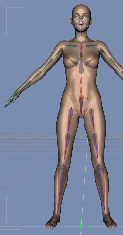 f:id:amakawawaka:20170621052849j:image f:id:amakawawaka:20170621052849j:image