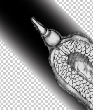 f:id:amakawawaka:20170624130347j:image