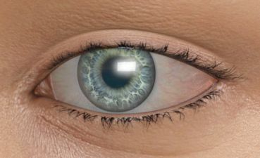 f:id:amakawawaka:20171011200318j:image