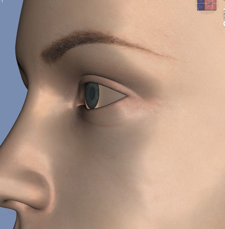 f:id:amakawawaka:20171011200326j:image