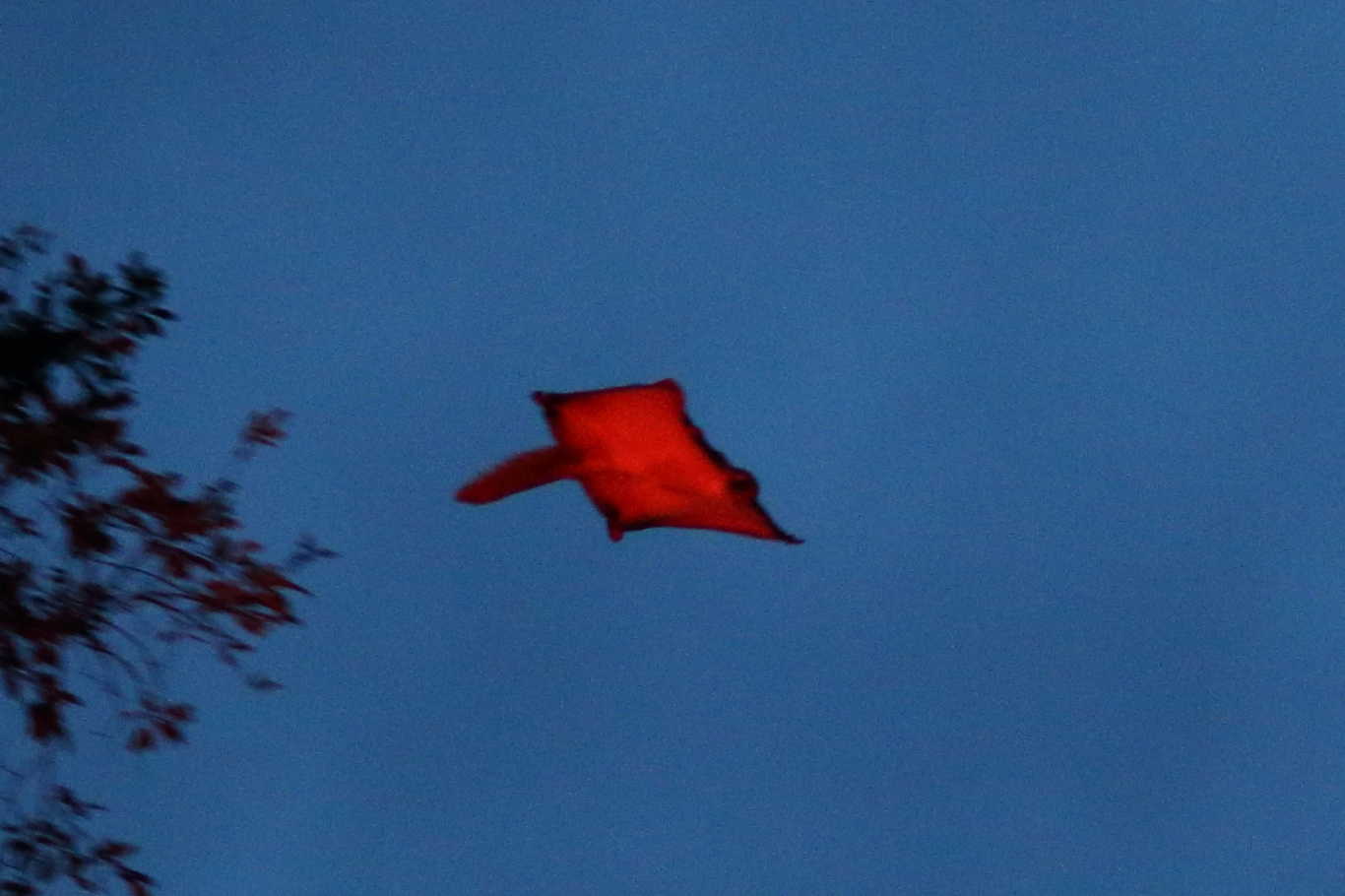 f:id:amakko:20180825222008j:image:w768