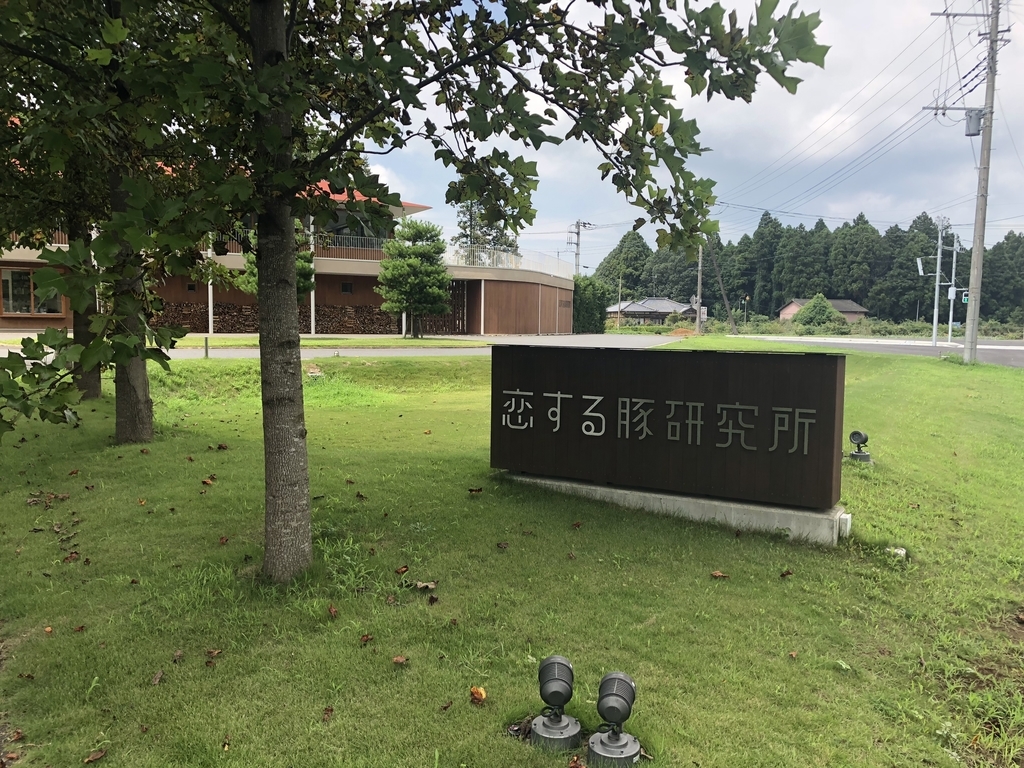 f:id:amakuchiNan:20190131232805j:plain