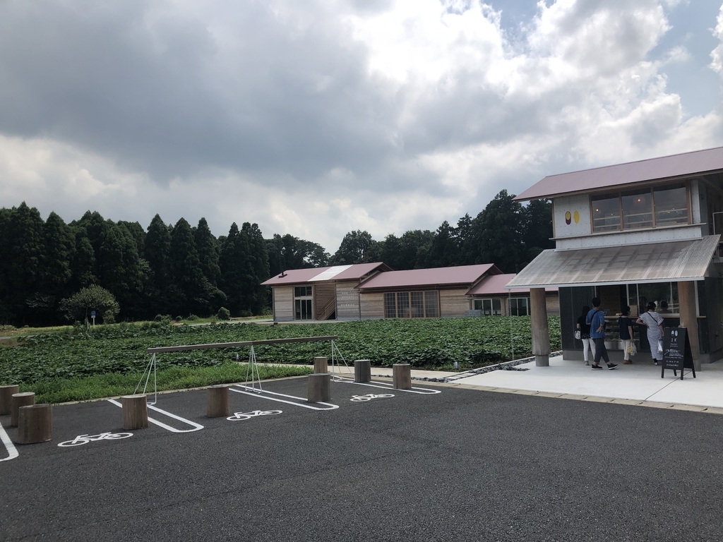 f:id:amakuchiNan:20190131233230j:plain