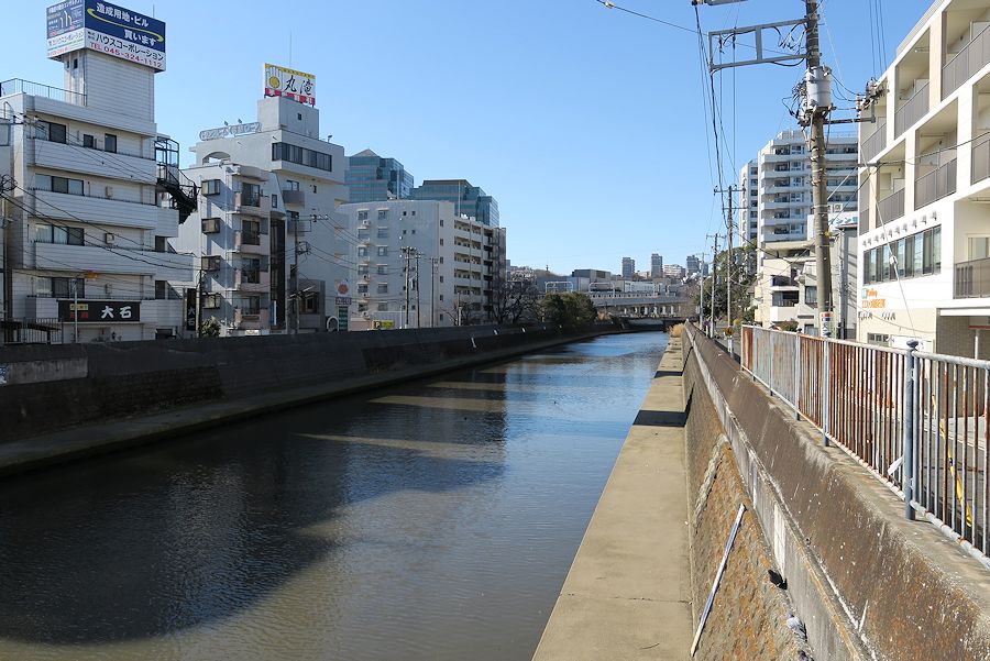 f:id:amami_atq:20210120225938j:plain