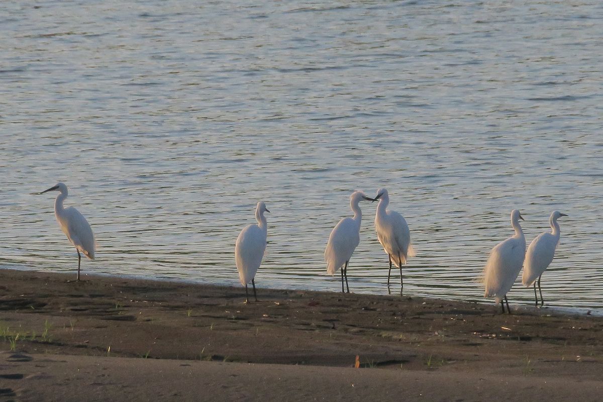 f:id:amami_atq:20210629214830j:plain