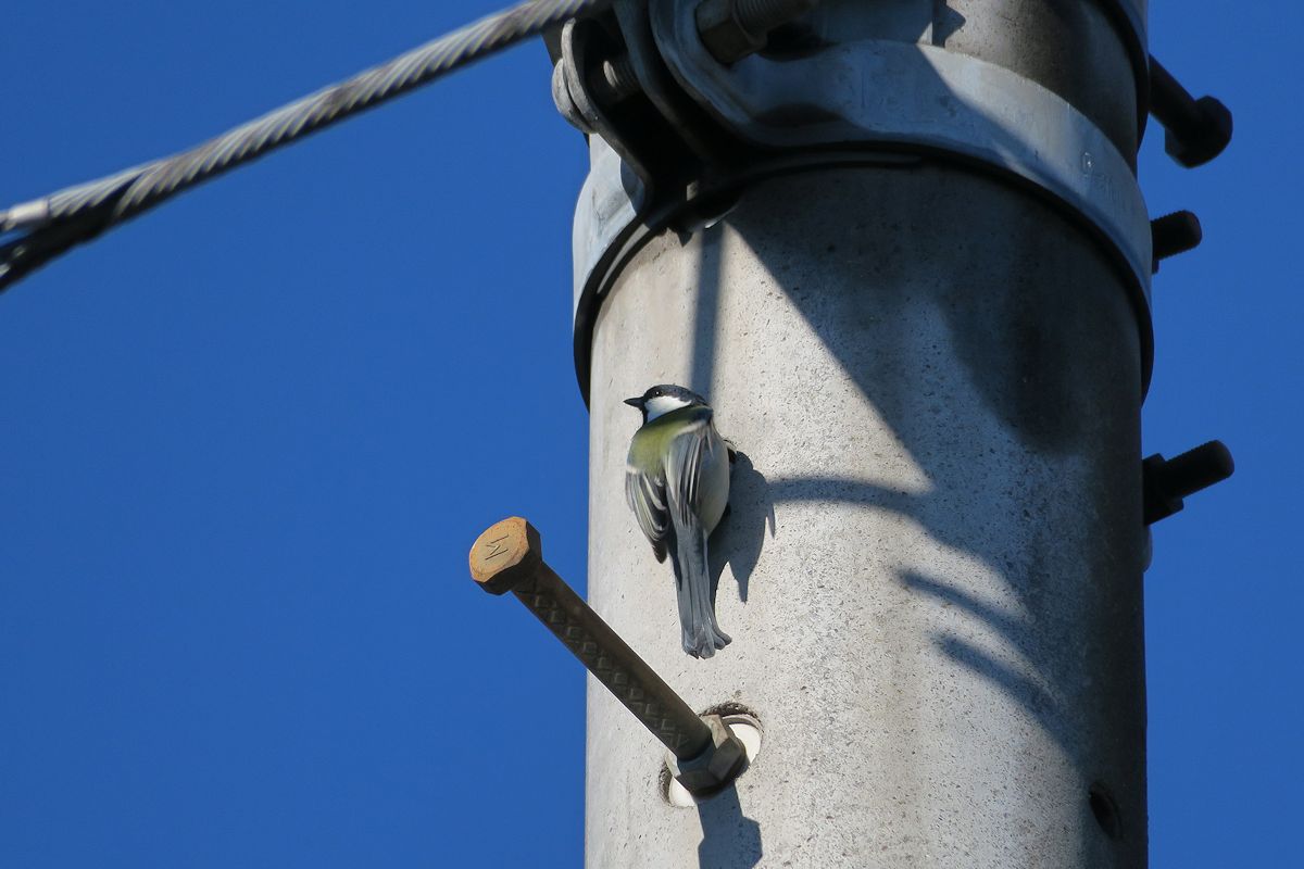 f:id:amami_atq:20211020095750j:plain