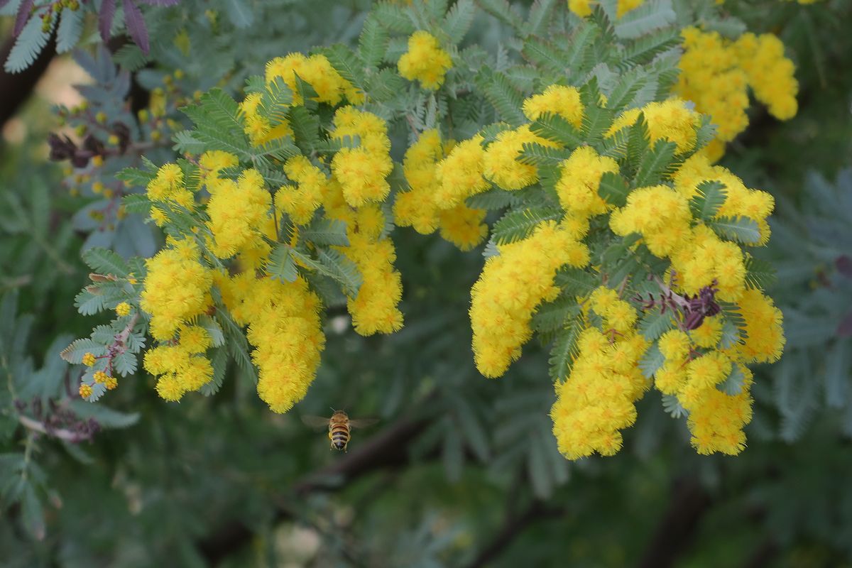 f:id:amami_atq:20220314150146j:plain