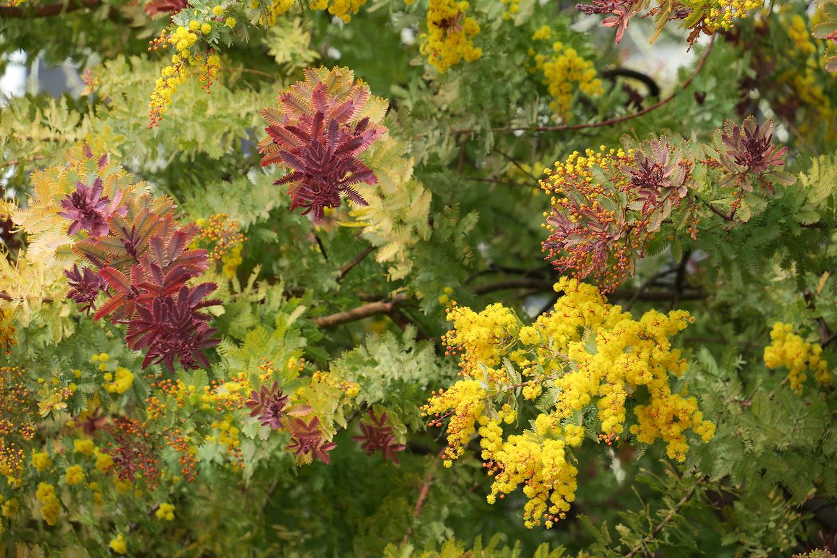 f:id:amami_atq:20220314150321j:plain