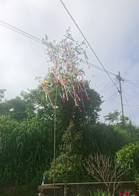 f:id:amamiflower:20190809220136j:plain f:id:amamiflower:20190809220136j:plain