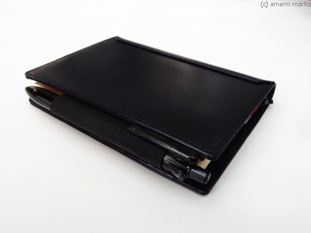 f:id:amamimori:20210213234628j:plain