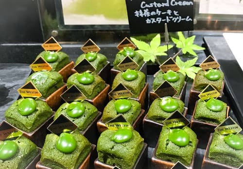 ザ・テラス 2019年5月 抹茶スイーツブッフェ メニュー 抹茶のケーキとカスタードクリーム