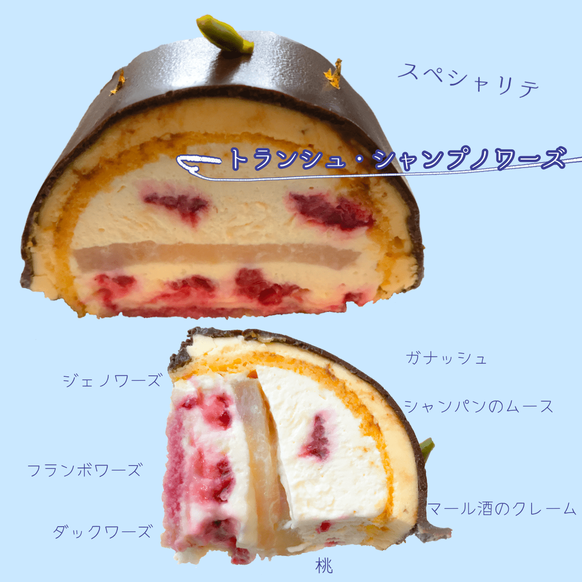 イルプルーのケーキ【スペシャリテ】トランシュ・シャンプノワーズ