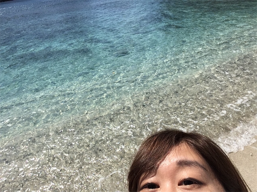 f:id:amamoto23:20170326023041j:image f:id:amamoto23:20170326023041j:image