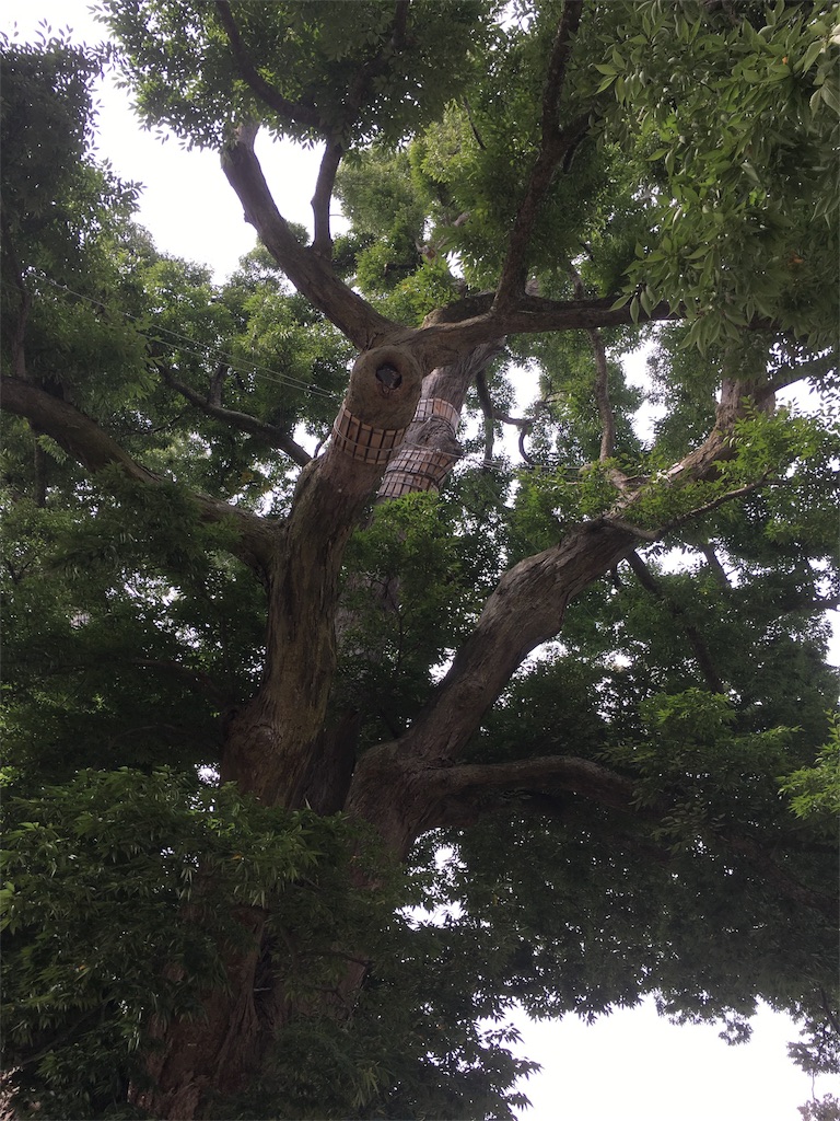 f:id:amamoto23:20171013220558j:image