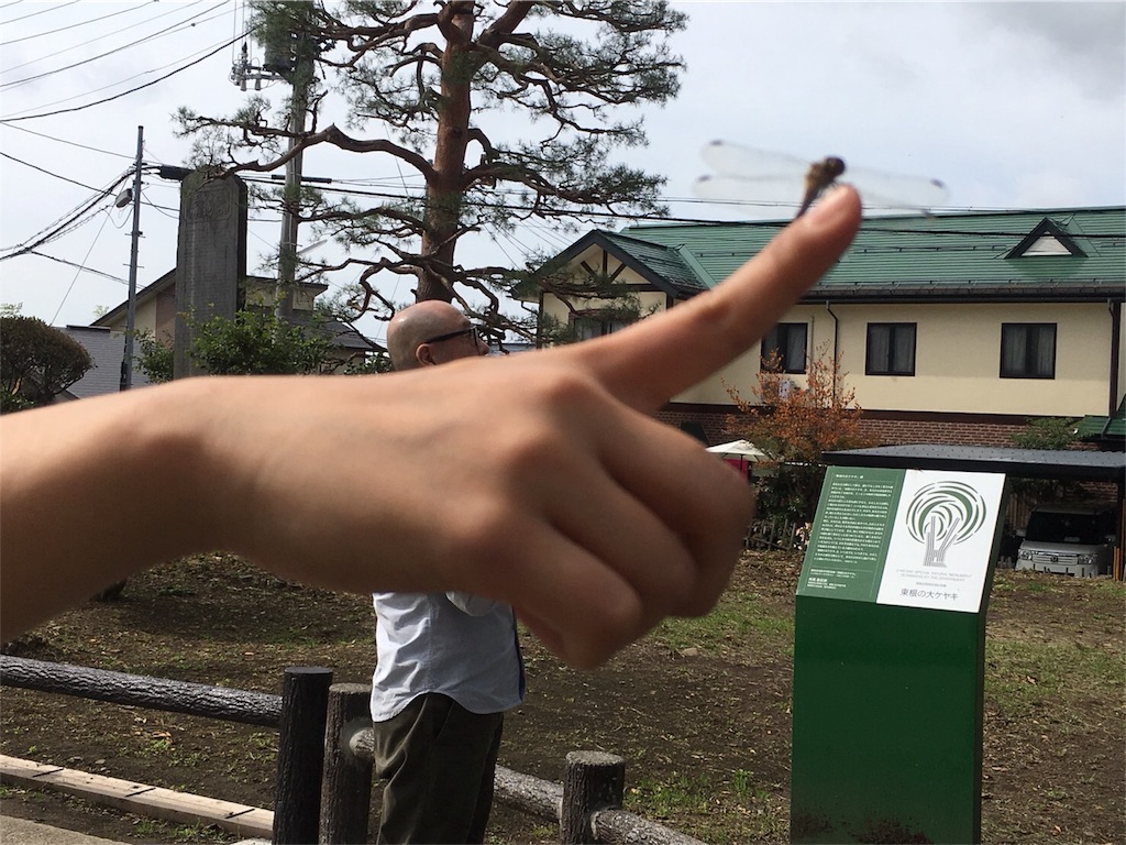 f:id:amamoto23:20171013220611j:image