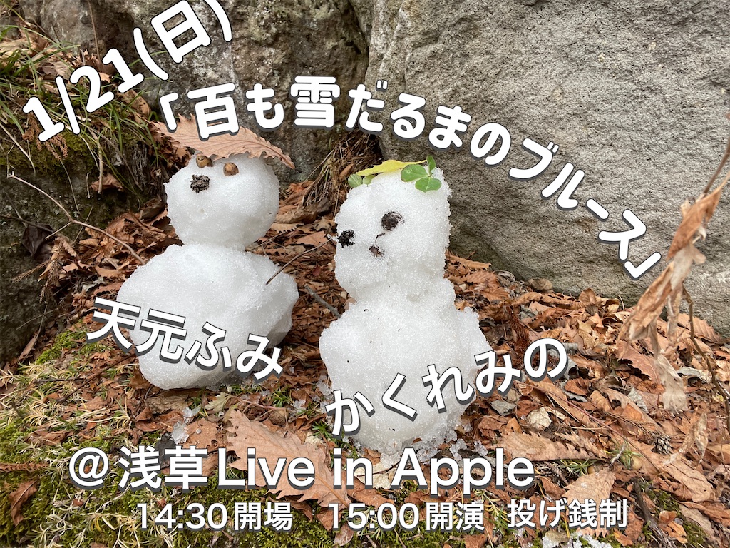 f:id:amamoto23:20240102175737j:image