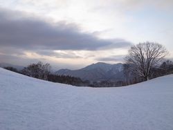 f:id:amamu:20101231115458j:image