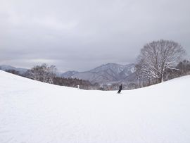 f:id:amamu:20101231115517j:image