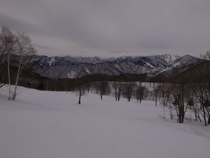 f:id:amamu:20180412144114j:image:w360