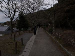 f:id:amamu:20180414104128j:image:w260