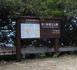f:id:amamu:20180416212835j:image:w240